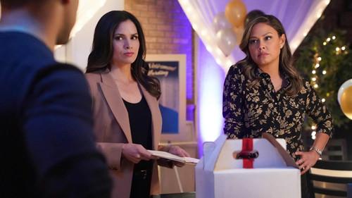 NCIS Season 20 Episode 10 - Too Many Cooks (I)