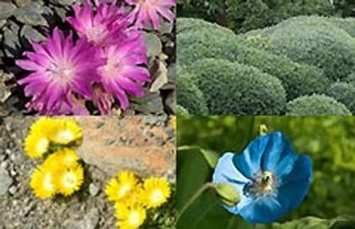 Around the World in 80 Gardens Season 1 Episode 9 - Northern Europe