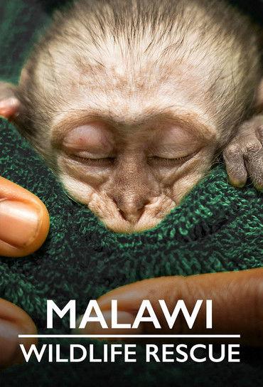 Malawi Wildlife Rescue poster