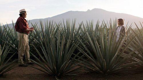 Monarca Season 1 Episode 1 - The Pruning