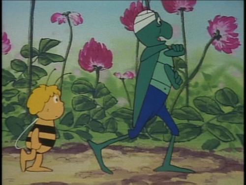 Maya the Bee Season 2 Episode 2 - The Wait-Lifting Competition