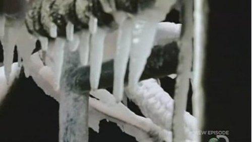 Deadliest Catch Season 5 Episode 10 - Sea of Misery