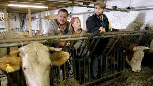 Die Rosenheim-Cops Season 8 Episode 23 - Kuhgebrüll als Alibi