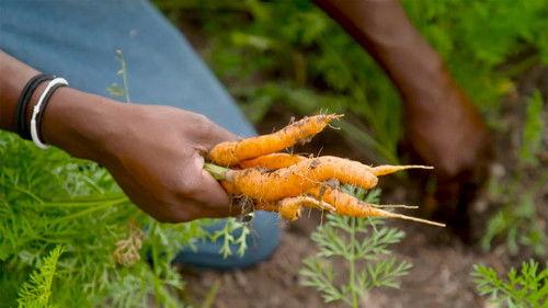 Wisconsin Foodie Season 12 Episode 7 - Scales Family Farm | Deer District Market