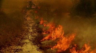 CSI: Miami Season 2 Episode 14 - Slow Burn