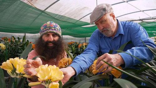 Gardening Australia Season 35 Episode 20 - Episode 20 Winter: Colourful clivias & pretty proteas