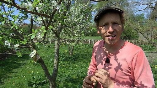 Frank & Kastaniegaarden Season 18 Episode 7 - Episode 7