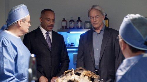 NCIS Season 15 Episode 8 - Voices