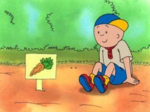 Caillou Season 1 Episode 40 - Caillou Grows Carrots
