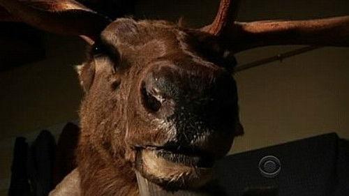 Medium Season 6 Episode 18 - There Will Be Blood... Type B