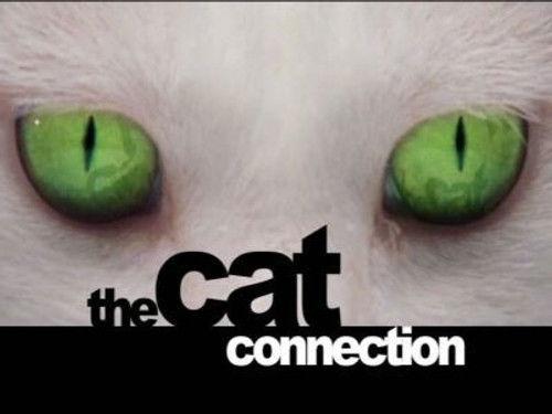 Natural World Season 20 Episode 14 - The Cat Connection