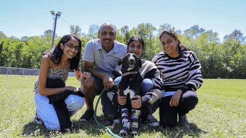 The Wizard of Paws Season 4 Episode 9 - Kala Me Mine