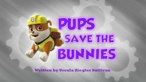 PAW Patrol Season 1 Episode 13 - Pups Save the Bunnies