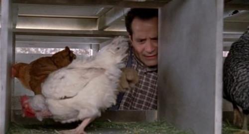 undefined Season 5 Episode 14 - Mr. Monk Visits a Farm