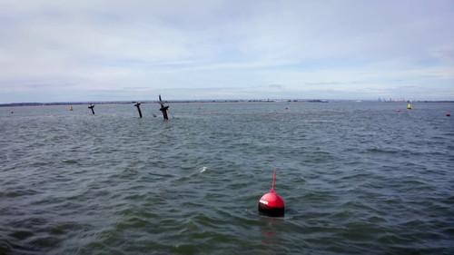 World’s Greatest Shipwrecks Season 1 Episode 8 - Toxic Wrecks