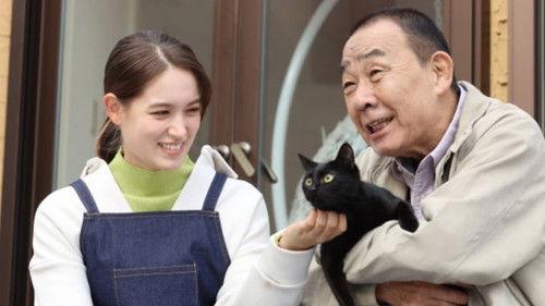 Inheritance Detective Season 1 Episode 3 - Episode 3