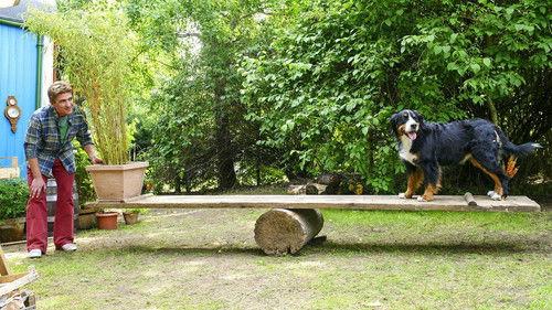 Löwenzahn Season 34 Episode 3 - Episode 3