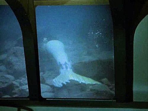 Voyage to the Bottom of the Sea Season 3 Episode 19 - The Mermaid