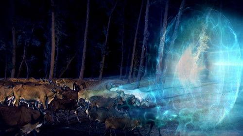 Mahabharat Season 11 Episode 19 - Takshak steals the Pandavas' cows