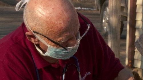 The Incredible Dr. Pol Season 20 Episode 1 - Another Day Another Collar