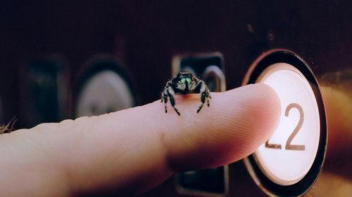 A Real Bug's Life Season 2 Episode 5 - Bee-Hind the Camera