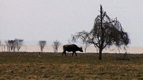 Cestománie Season 3 Episode 24 - Episode 24