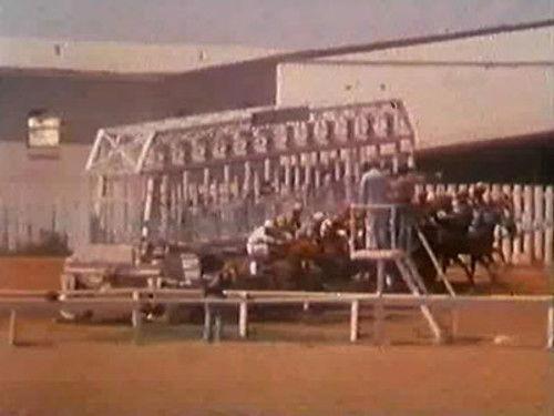 Manimal Season 1 Episode 5 - High Stakes