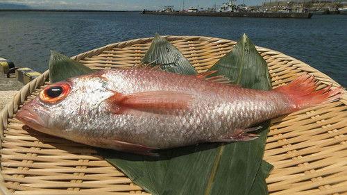 Trails to Oishii Tokyo Season 5 Episode 15 - NODOGURO