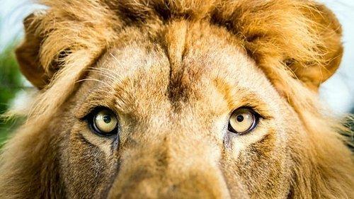 undefined Season 1 Episode 1 - Episode 1