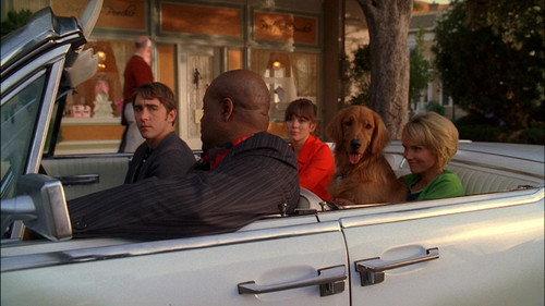 Pushing Daisies Season 1 Episode 6 - Bitches