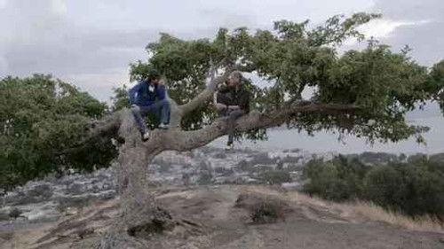 Planeta Calleja Season 9 Episode 2 - Episode 2