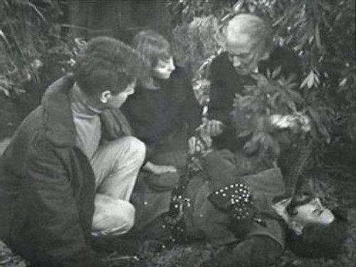 Doctor Who Season 2 Episode 22 - The Lion