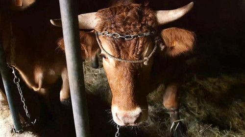 En el punto de mira Season 3 Episode 3 - Episode 3