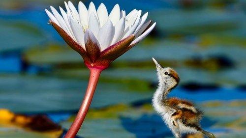 undefined Season 1 Episode 4 - Freshwater