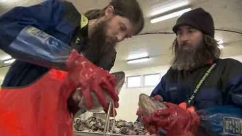 The Amazing Race Season 23 Episode 4 - Beards in the Wind