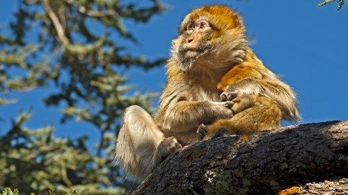 undefined Season 1 Episode 5 - Sahara