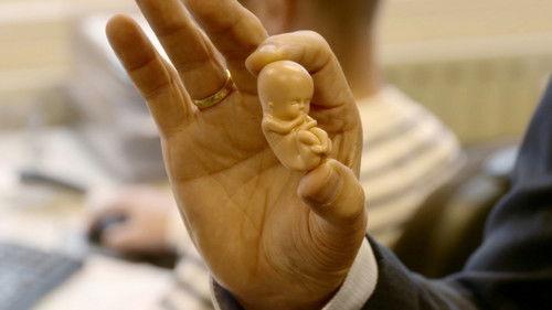 Argos TV - Medialogic Season 8 Episode 11 - Episode 11