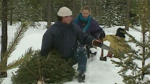 Sunes jul Season 1 Episode 18 - Julgranen