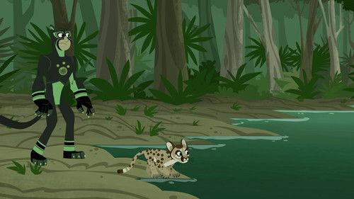 Wild Kratts Season 3 Episode 14 - Search for the Florida Panther