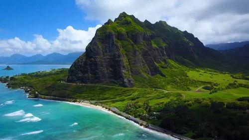 Treehouse Masters Season 11 Episode 1 - Hawaiian Island Treehouse Adventure