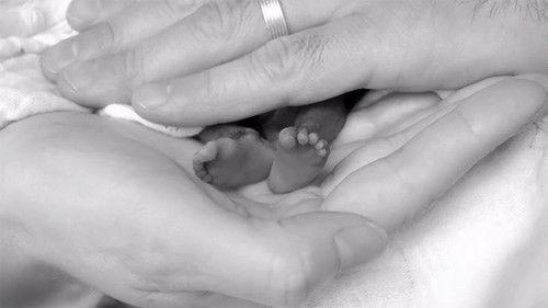 Australian Story Season 22 Episode 2 - The Hardest Choice