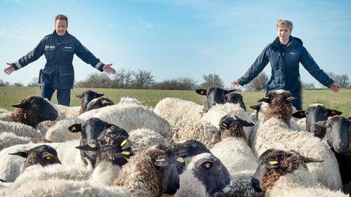 SOKO Wismar Season 17 Episode 14 - Episode 14