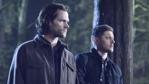 Supernatural Season 14 Episode 16 - Don't Go in the Woods