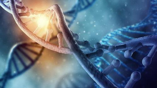 NOVA Season 45 Episode 105 - NOVA Wonders Can We Make Life?