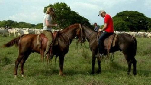 Wie is de Mol? Season 11 Episode 5 - Land in Zicht (Land in Sight)