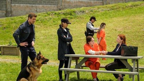 Hudson & Rex Season 5 Episode 7 - The Date Escape