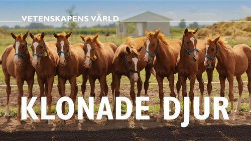 Vetenskapens värld Season 51 Episode 6 - Episode 6