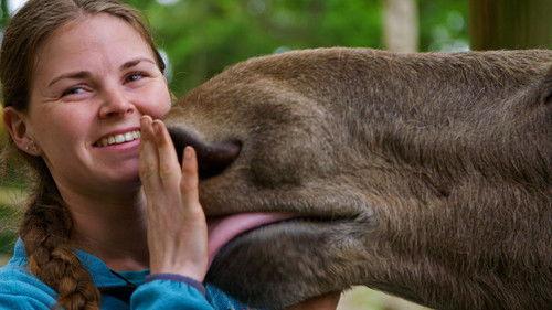 Dyrepasserne Season 14 Episode 5 - Stein, flaks, gevir