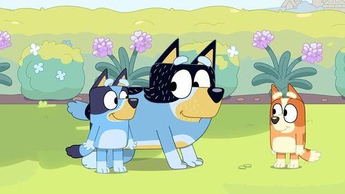 Bluey Season 3 Episode 12 - Sheep Dog