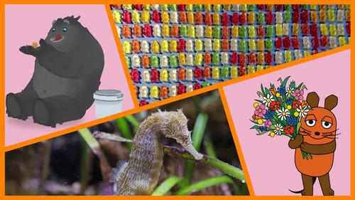 Die Sendung mit der Maus Season 55 Episode 20 - Episode 20